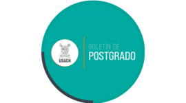 Logo Boletín de Postgrado